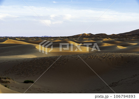サハラ砂漠の美しい砂丘 106794893