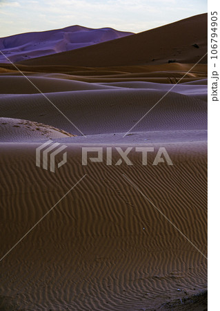 サハラ砂漠の美しい砂丘 106794905