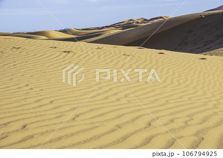 サハラ砂漠の美しい砂丘 106794925
