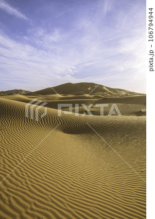 サハラ砂漠の美しい砂丘 106794944