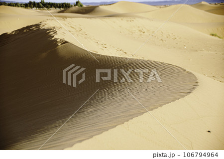サハラ砂漠の美しい砂丘 106794964