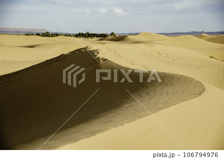 サハラ砂漠の美しい砂丘 106794976