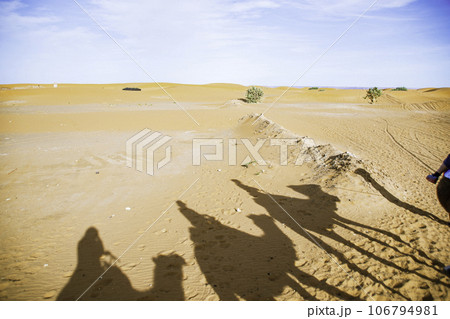 サハラ砂漠の美しい砂丘 106794981