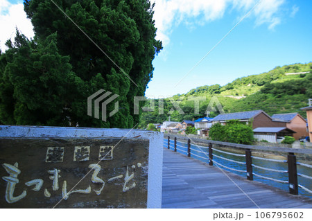 愛媛県八幡浜市 もっきんろーどの風景 愛媛県八幡浜市 もっきんろーどの風景 106795602