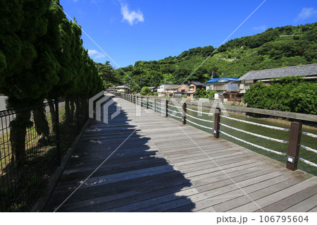 愛媛県八幡浜市 もっきんろーどの風景 愛媛県八幡浜市 もっきんろーどの風景 106795604