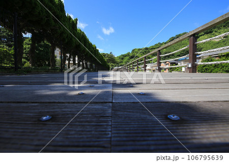 愛媛県八幡浜市 もっきんろーどの風景 愛媛県八幡浜市 もっきんろーどの風景 106795639