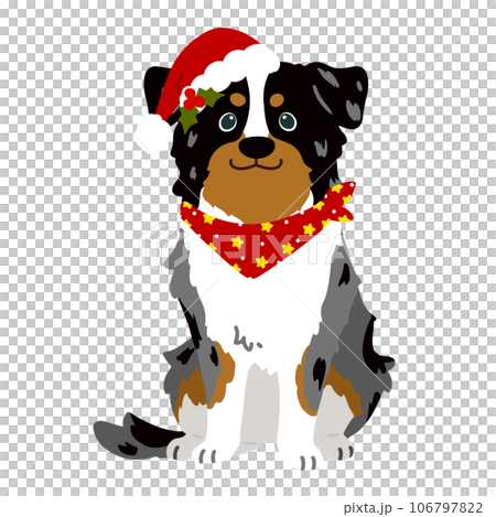 Illustration of a cute Christmas-style Australian Shepherd sitting, no main line Illustration of a cute Christmas-style Australian Shepherd sitting, no main line 106797822