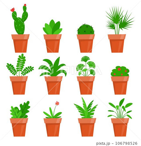 Potted plants and flowers. Cute house plants in flat style. Vector illustration. 106798526