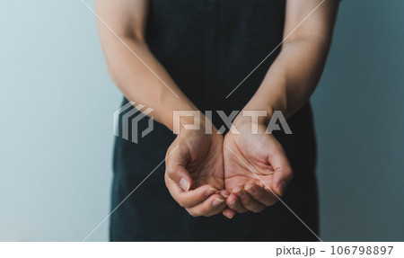 手の皿 手のひら 手の皿 手のひら 106798897