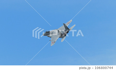 航空自衛隊第303飛行隊F-15DJイーグル旋回 106800744