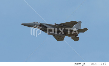 航空自衛隊第303飛行隊F-15Jイーグル 106800745