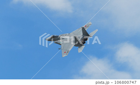 航空自衛隊第303飛行隊F-15Jイーグル旋回 106800747