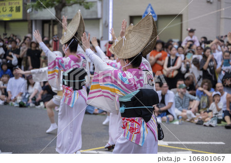 夏の風物詩阿波踊り 106801067