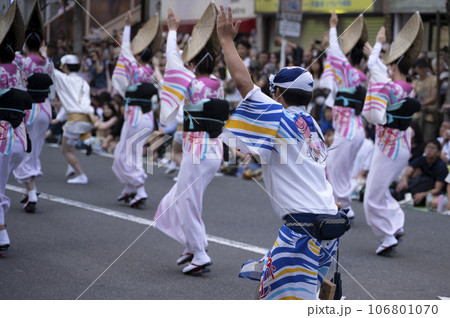 夏の風物詩阿波踊り 夏の風物詩阿波踊り 106801070