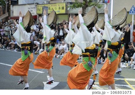 夏の風物詩阿波踊り 106801073