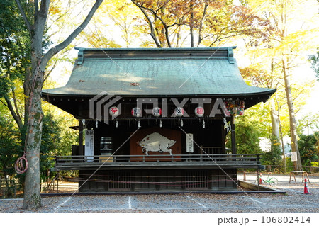 うさぎ、ウサギ、兎、調神社、神社、埼玉県、うさぎ神社、日本、神道、建物、狛うさぎ、彫刻、石像、動物、 106802414