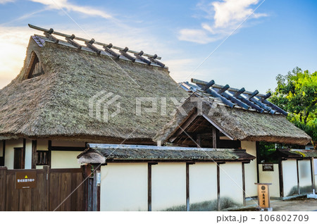 丹波篠山 106802709