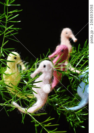 フェルトのタツノオトシゴとアスパラスプレンゲリー 　　 　 　　 　　　　　　 　　　 106803098