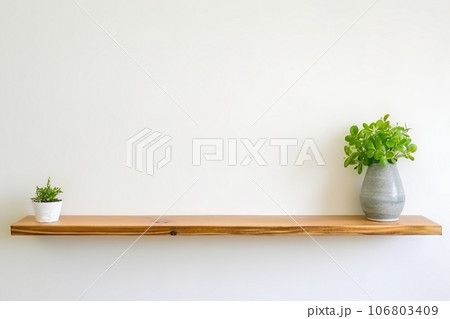 interior design, wooden shelf on white wall with green plant. 106803409