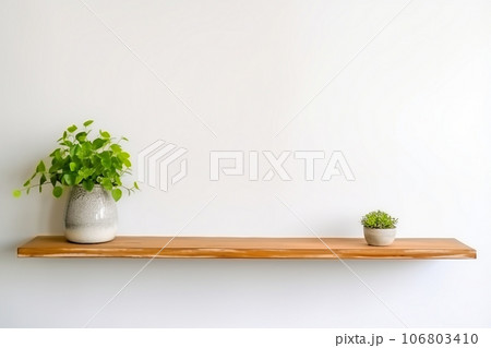 interior design, wooden shelf on white wall with green plant. 106803410