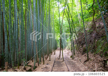 旧国鉄倉吉線廃線跡 旧国鉄倉吉線廃線跡 106803525