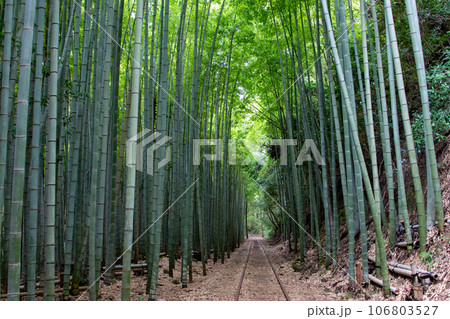 旧国鉄倉吉線廃線跡 106803527