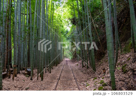 旧国鉄倉吉線廃線跡 106803529