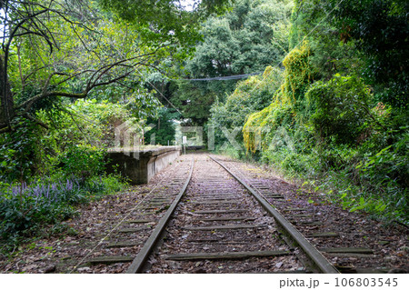 旧国鉄倉吉線廃線跡 旧国鉄倉吉線廃線跡 106803545