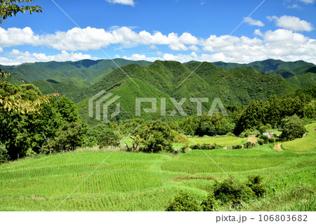 高原の里の田園風景　【和歌山県田辺市中辺路町】 106803682