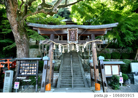 鐸比古鐸比賣神社(鳥居・拝殿) 【大阪府柏原市】 鐸比古鐸比賣神社(鳥居・拝殿) 【大阪府柏原市】 106803915
