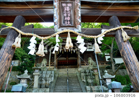鐸比古鐸比賣神社(鳥居・拝殿) 【大阪府柏原市】 鐸比古鐸比賣神社(鳥居・拝殿) 【大阪府柏原市】 106803916