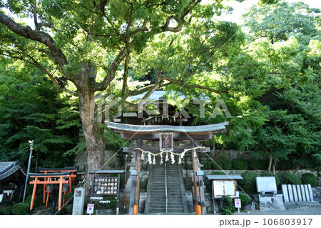 鐸比古鐸比賣神社(鳥居・拝殿) 【大阪府柏原市】 鐸比古鐸比賣神社(鳥居・拝殿) 【大阪府柏原市】 106803917