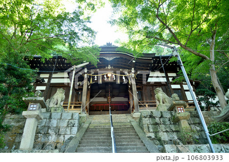 鐸比古鐸比賣神社(拝殿) 【大阪府柏原市】 鐸比古鐸比賣神社(拝殿) 【大阪府柏原市】 106803933