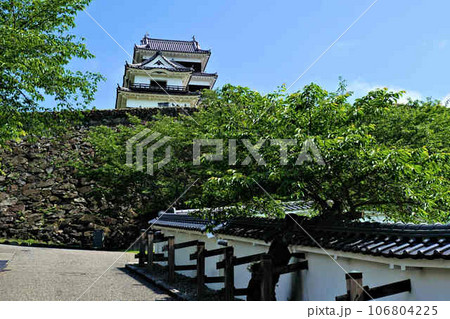 大洲城 大洲城 106804225