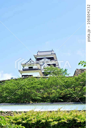 大洲城 大洲城 106804232
