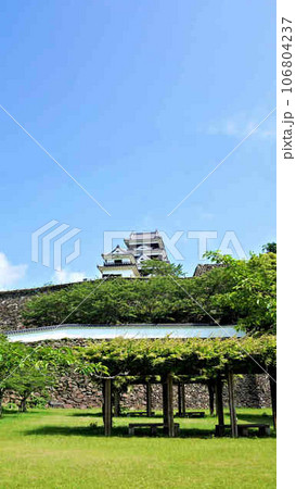 大洲城 大洲城 106804237