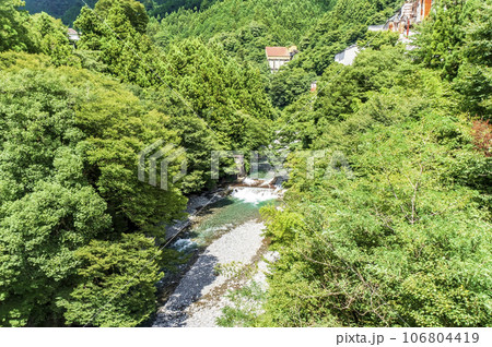 夏の奥多摩に流れる日原川 106804419