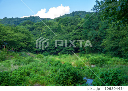沼尾川親水公園 沼尾川 真夏の風景 渋川市 沼尾川親水公園 沼尾川 真夏の風景 渋川市 106804434