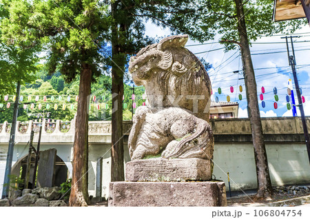 夏の奥氷川神社 夏の奥氷川神社 106804754