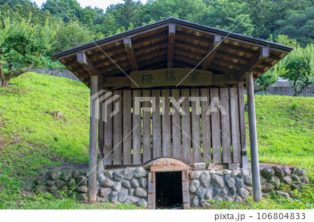 沼尾川親水公園　梅信窯　渋川市 106804833