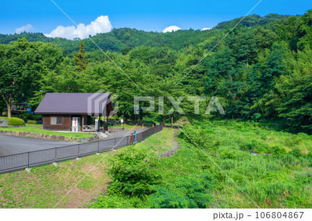 沼尾川親水公園　沼尾川　真夏の風景　渋川市 106804867