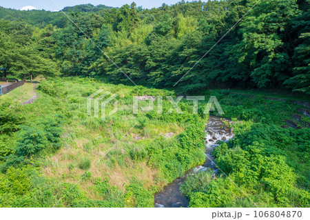 沼尾川親水公園　沼尾川　真夏の風景　渋川市 106804870