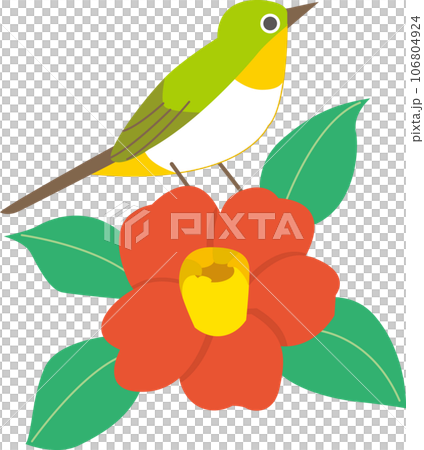 椿とメジロのイラスト素材 [106804924] - PIXTA