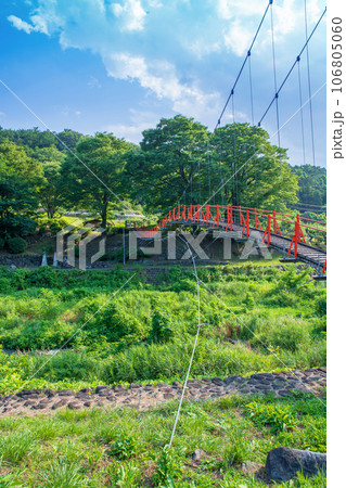沼尾川親水公園 赤い吊橋 渋川市 沼尾川親水公園 赤い吊橋 渋川市 106805060