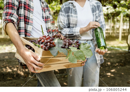 Young Asia Couple farmer holding grapes after harvest from the organic vineyard, healthy fruit concept 106805244