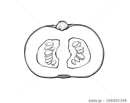 半分に切った西洋かぼちゃのシンプルな線画イラスト 106805399