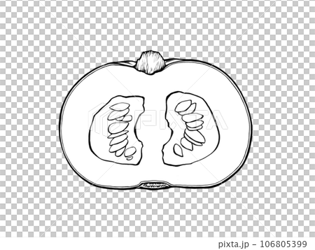 半分に切った西洋かぼちゃのシンプルな線画イラスト 106805399