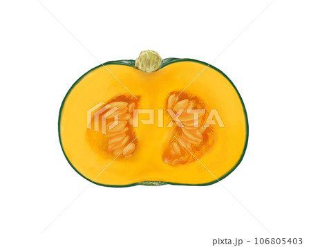 半分に切った西洋かぼちゃのリアルな水彩イラスト 半分に切った西洋かぼちゃのリアルな水彩イラスト 106805403