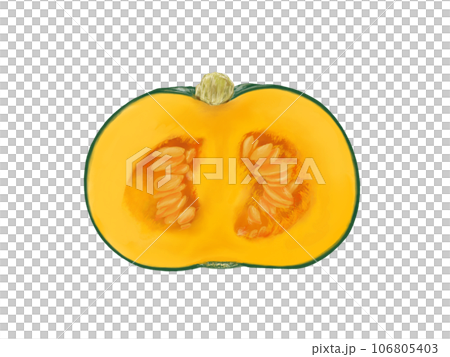 半分に切った西洋かぼちゃのリアルな水彩イラスト 半分に切った西洋かぼちゃのリアルな水彩イラスト 106805403