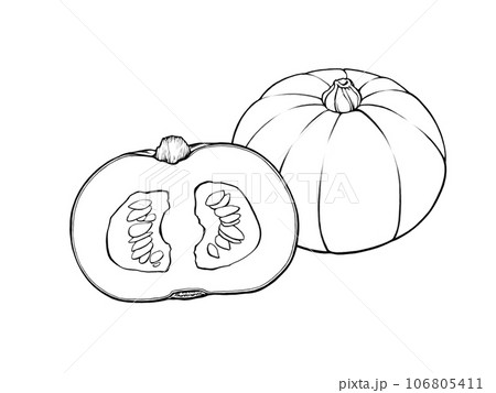 並んだ西洋かぼちゃ(丸ごとと半分に切ったもの)のシンプルな線画イラスト 並んだ西洋かぼちゃ(丸ごとと半分に切ったもの)のシンプルな線画イラスト 106805411